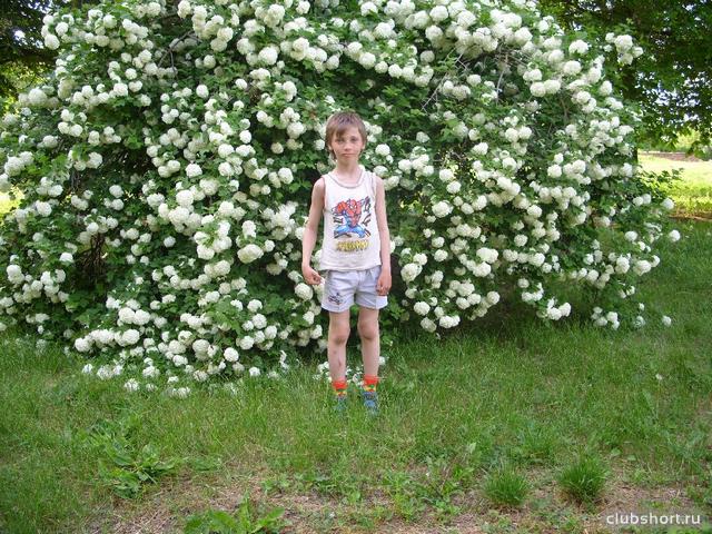 1487_buratinko_in_shorts_25.jpg